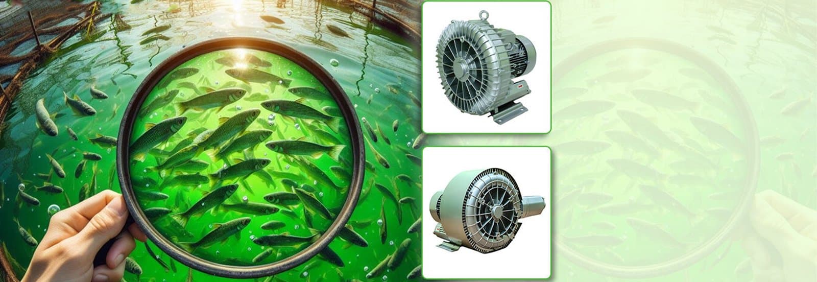 Aerated biofloc fish-farming tanks